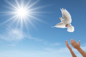 religion (10) (Small)