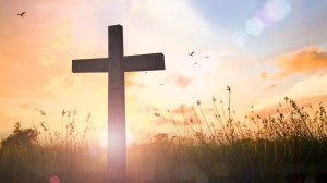 religion (65) (Small)